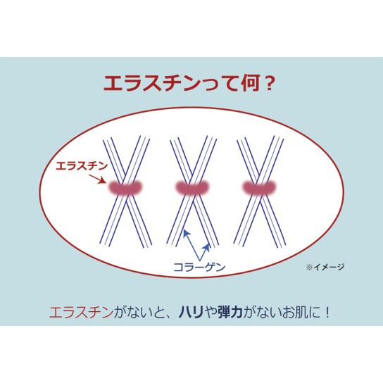 コラボーテ・アップ テンスールクレーム 1本 | テレビ通販サイト